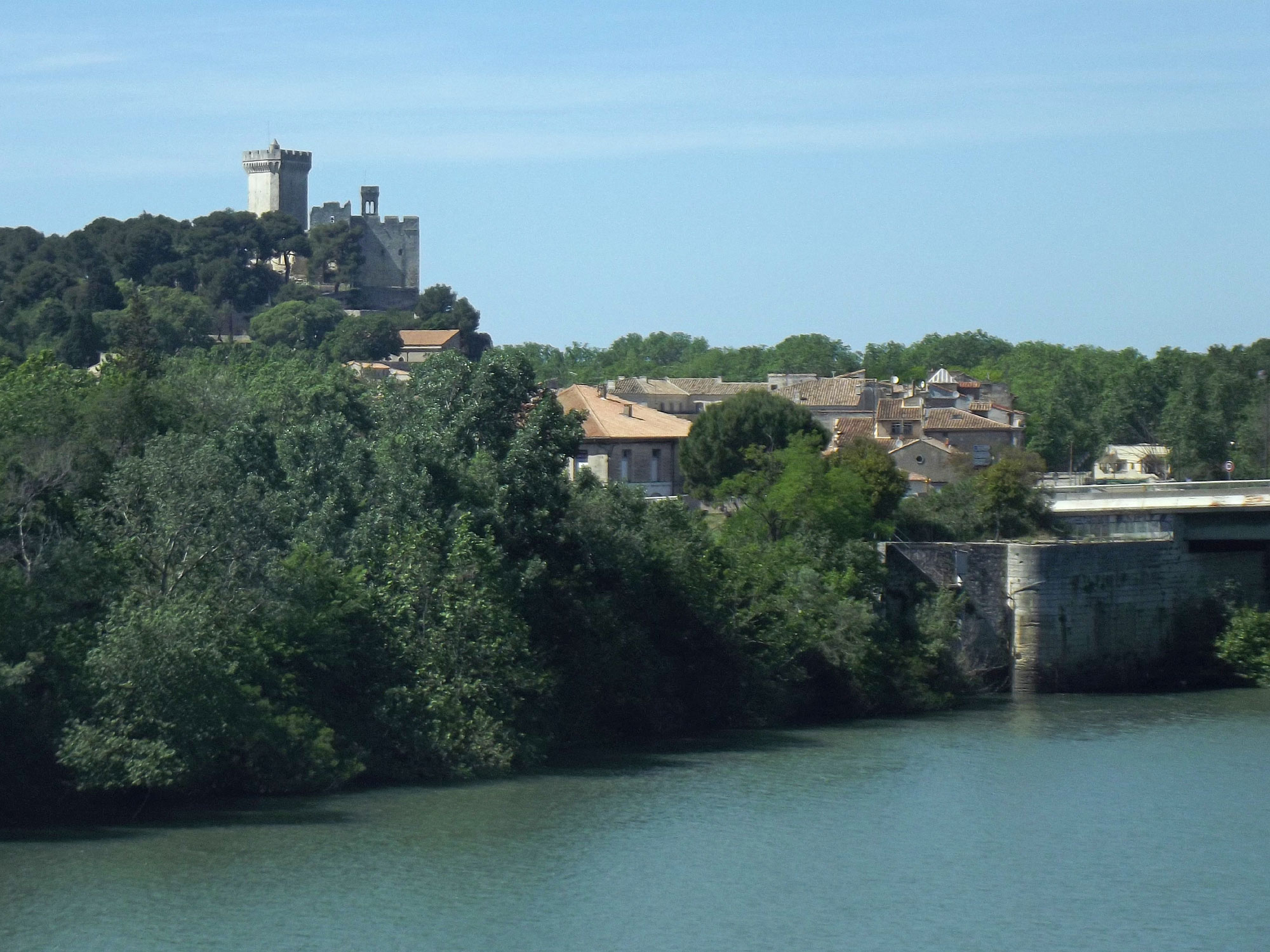 Avignon